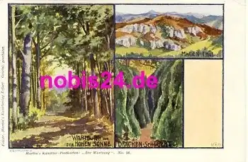 Eisenach Wartburg Künstlerkarte  *ca.1900