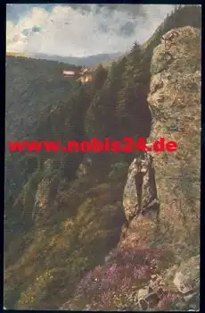 Vogesen Serie III Blatt 15 Schlucht Künstlerkarte H. Hoffmann *ca. 1910