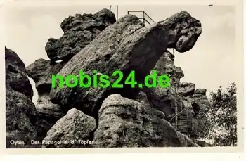 02797 Oybin Der Papagei am Töpfer o 16.10.1954