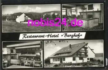 67317 Altleiningen Hotel Berghof *ca.1950