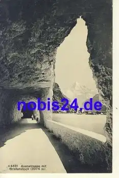 Flüelen Axenstrasse *ca.1920