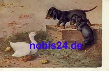 Dackel mit Gans Künstlerkarte o 1916