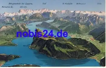 Bürgenstock Luzern *ca.1915