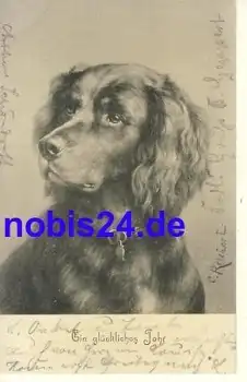 Neujahr Jagdhund o 1903