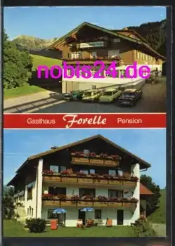 87538 Obermaiselstein Gasthaus Forelle o 26.7.1991