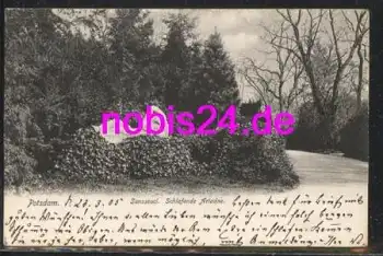 Potsdam Sanssouci schlafende Ariadne o 23.8.1905