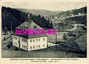 08371 Glauchau Hammerherrenhaus *ca.1950