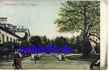 Strassburg Elsass Orangerie o 1909