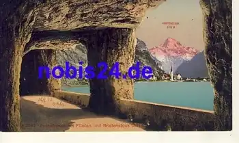 Flüelen Axenstrasse *ca.1920