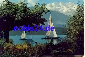 Am Thunersee Blümlisalp o ca.1960