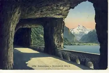 Flüelen Axenstrasse Birkenstock *ca.1920