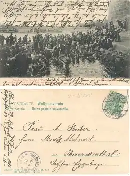 Dresden Niedrigwasser der Elbe 1904 Elb Klondyke o 9.8.1904