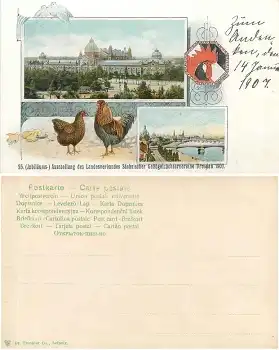 Dresden 25. Ausstellung des Landesverbandes Sächsischer Geflügelzüchtervereine 1907