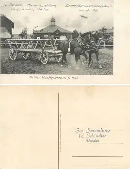 Dresden 34. Pferde Ausstellung Mai 1909