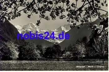 Widerswil Mönch und Jungfrau o 1961