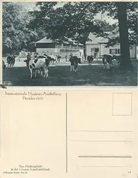 Dresden Internationale Hygiene Ausstellung 1931 Offizielle Karte No. 43 Mustergehöft in der Landwirtschaft