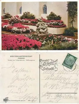Dresden Reichsgartenschau 1936 Offizielle Karte Nr.7 Frühjahrsblumen