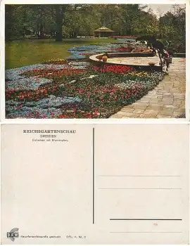Dresden Reichsgartenschau 1936 Offizielle Karte Nr.11 Eichwiese mit Blumenplan