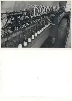 Hohenstein-Ernstthal Weberei Strickmaschine Einrichtung Großfoto 17,5  x 12,5 cm  um 1950