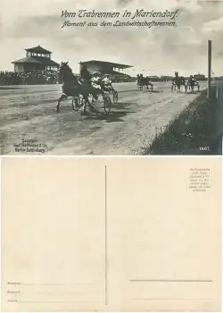 Mariendorf Berlin Trabrennen Pferdesport Grosskarte 17 x 12 cm um 1930