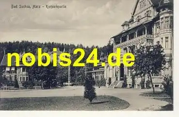 37441 Bad Sachsa Hotel Kurparkpartie   *ca.1920