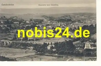 37581 Gandersheim vom Osterberg *ca.1930