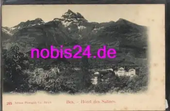 Bex Hotel des Salines Schweiz *ca.1920