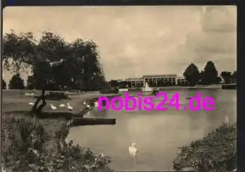 Reutershagen Rostock Schwanenteich o ca.1963