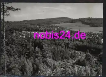 01819 Bergießhübel *ca.1962