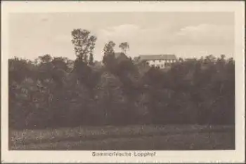 95359 Lopphof * ca. 1930