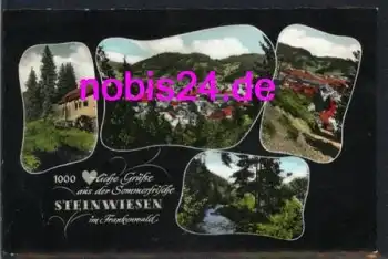 96349 Steinwiesen Frankenwald *ca.1965