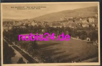 36367 Bad Salzschlirf Lindenstrasse Teich o 1925