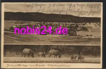 31832 Altenhagen Saupark Wildschweine o 20.10.1939