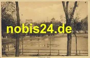 37520 Osterode Harz Am Teich o 10.6.1916