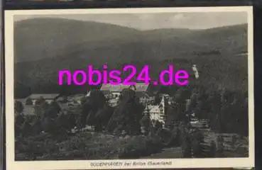 59929 Gudenhagen bei Brilon *ca.1920