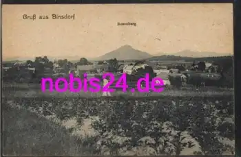 72351 Binsdorf Totale und Rosenberg *ca.1920