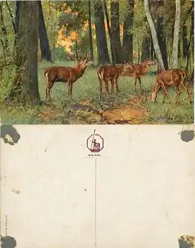 Hirsch und Rehe Künstlerkarte *ca. 1910