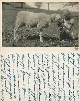 Schaf mit Mädchen *ca. 1940