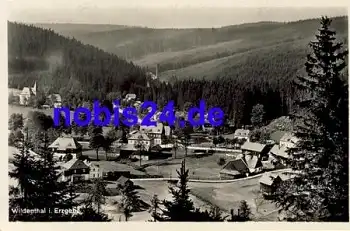 08309 Wildenthal o 1938