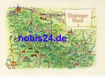 99891 Thüringer Wald Künstlerkarte Alfred Hoppe *ca.1970