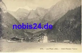 Les Plans Bex. Hotel Tanner ca.1920