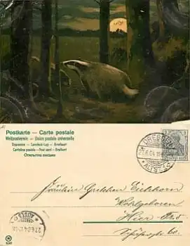 Dachs Künstlerkarte WV 5567 o 27.6.1911 ​​​​​​​vermulich Mailick (ohne sig)