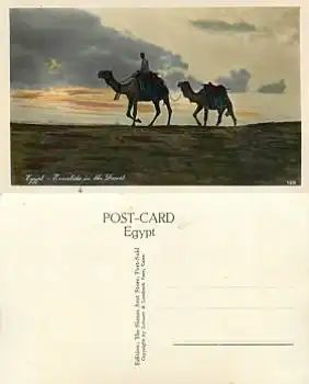 Kamel in Ägypten *ca. 1930
