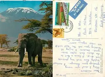 Elefant am Kilimanjaro o 21.10.1976