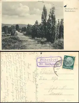21385 Oldendorf über Amelinghausen Landpoststempel auf AK o 5.10.1933