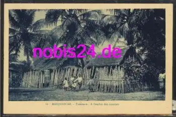 Madagascar Tamatave A Pombre des cocotiers *ca.1910