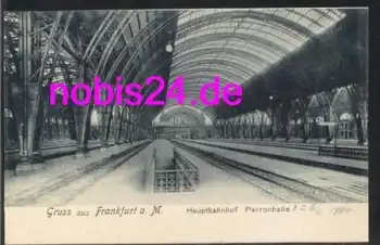 Frankfurt Main Hauptbahnhof Perronhalle *ca.1910