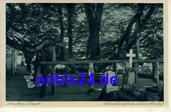 09456 Annaberg Friedhof Linde *ca.1920