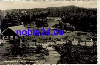 98716 Geschwenda Waldbad  *ca.1963