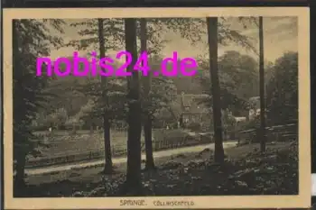 31832 Springe Cöllnischfeld *ca.1920